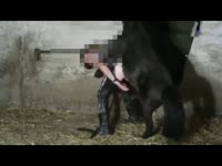 horse and female 1